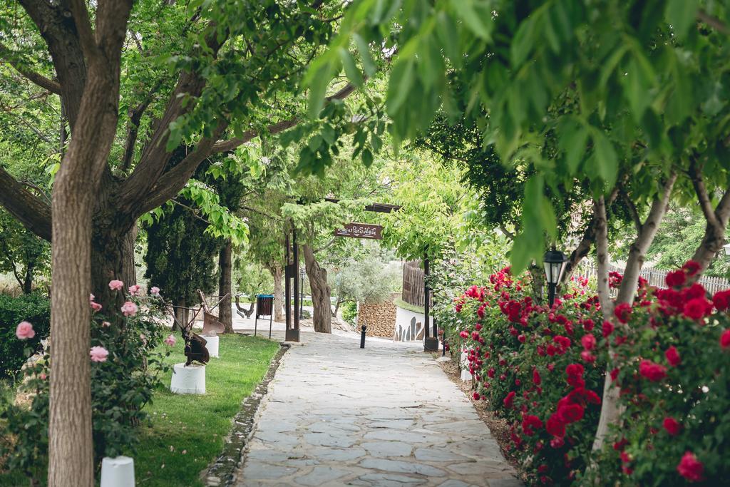 Casas Cueva Tio Tobas Guadix Ξενοδοχείο Alcudia de Guadix Εξωτερικό φωτογραφία